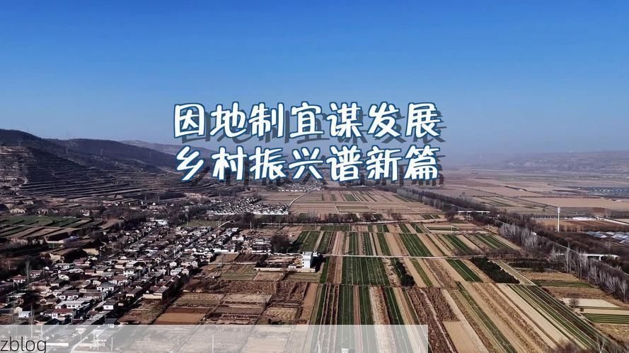 平舆：农业大县的防疫突围与地理屏障下的持久战