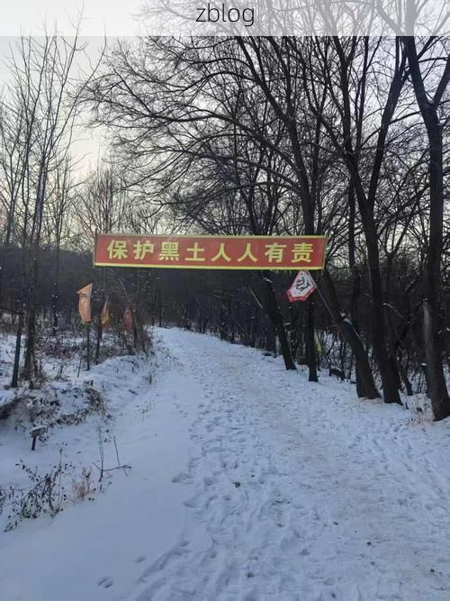 【东丰疫情观察：寒地黑土上的防控挑战与地理屏障】