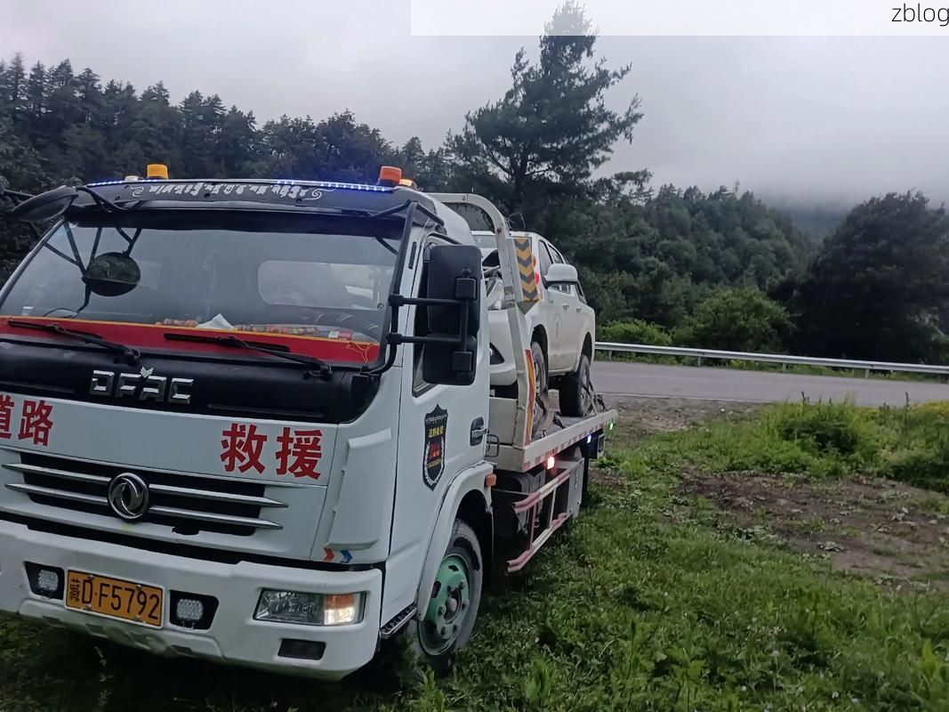 安陆：江汉平原交通节点上的疫情破防与围堵