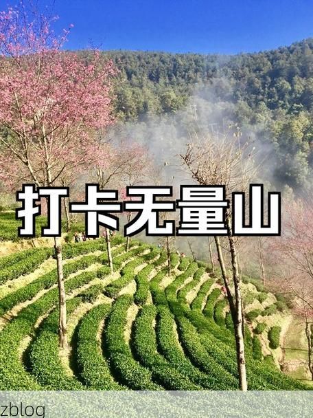 南涧：无量山屏障下的零感染坚守与防疫挑战