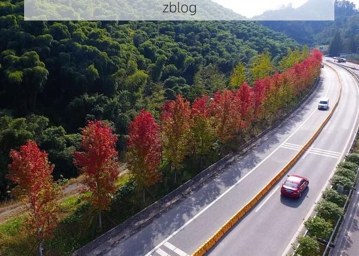 江安：长江之畔的县域防疫样本解析