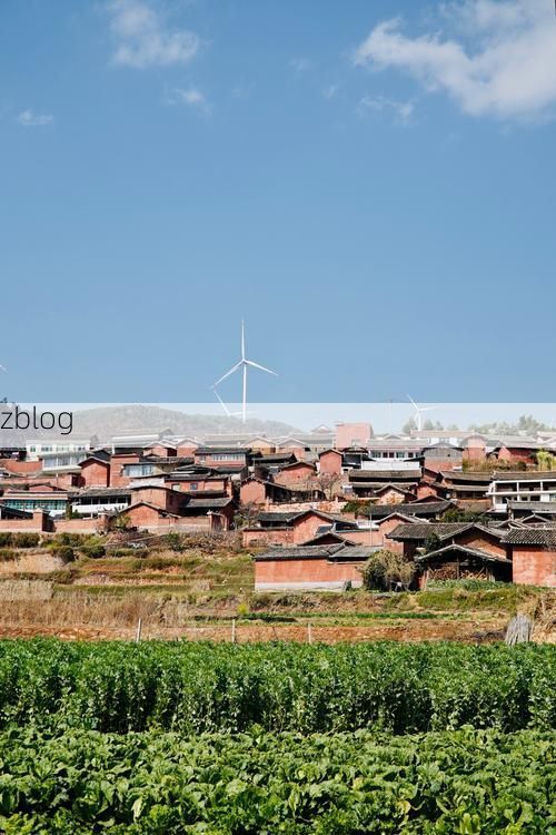 仁和区：攀西裂谷中的疫情防线与破防时刻_61886