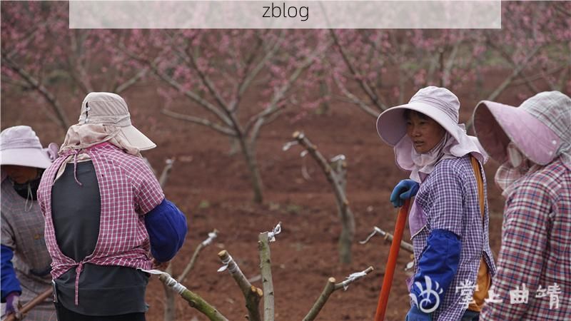 师宗：滇东门户的防疫地理学与疫情破防时刻