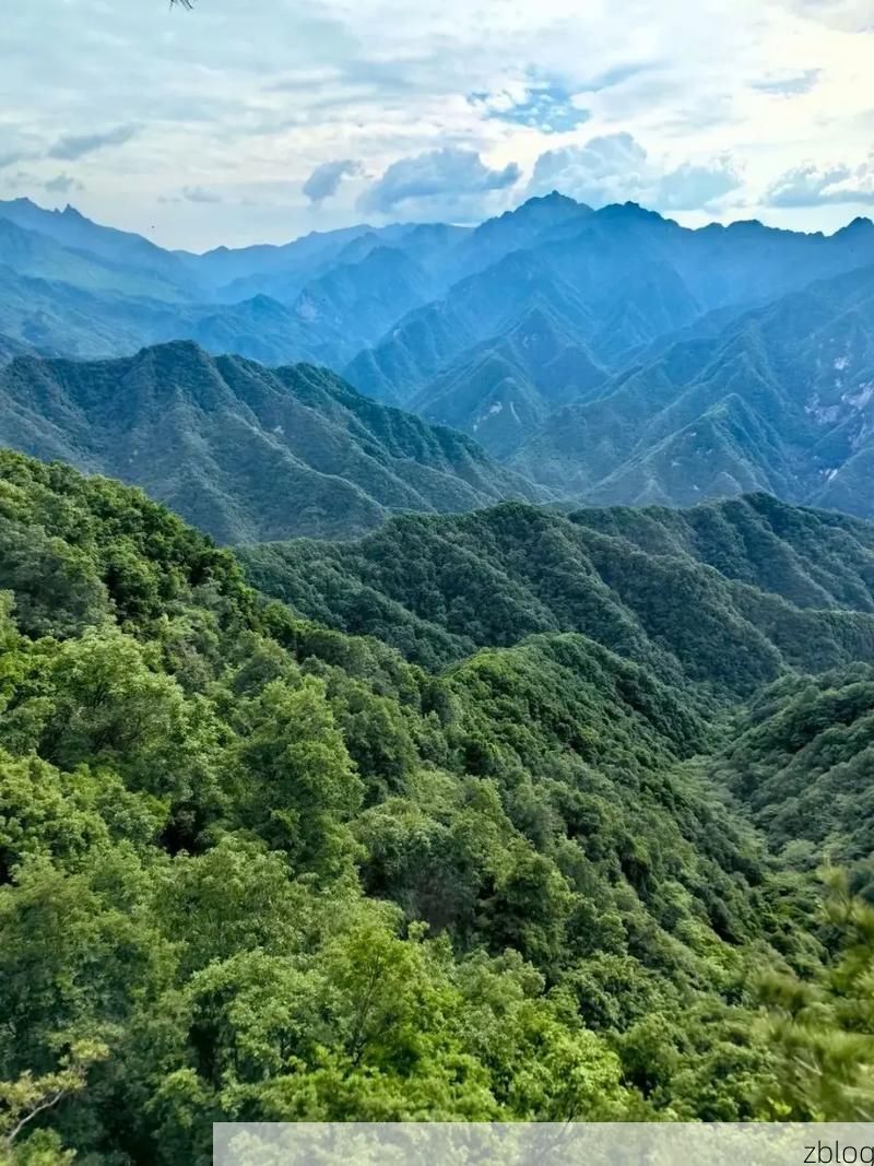 周至县：秦岭生态屏障下的低感染率成因探析