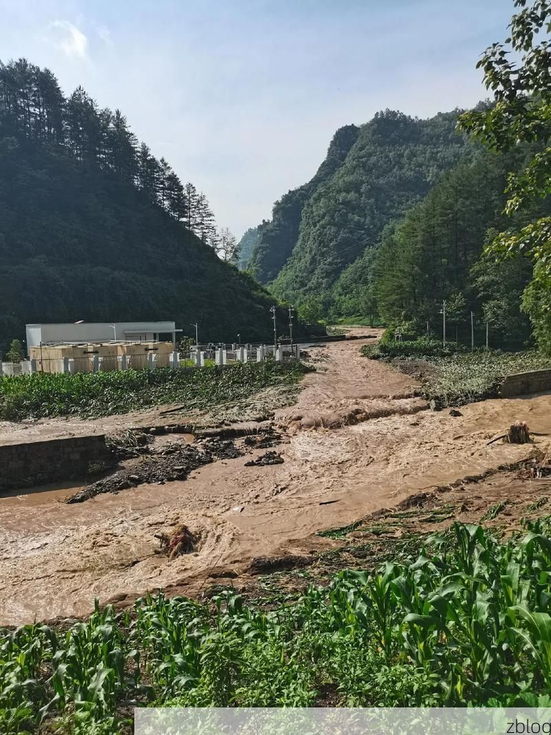 罗田县：大别山腹地的疫情防波堤_18703