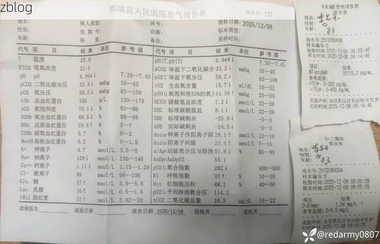 2022年11月25日云梦新增确诊病例情况