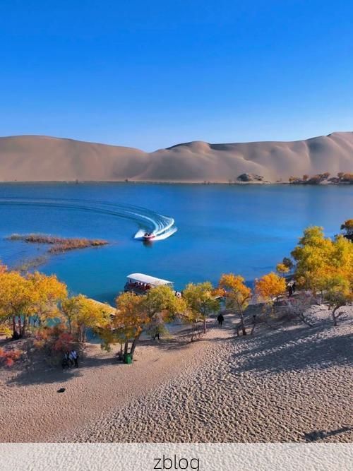 尉犁绿洲的防疫坚守：塔克拉玛干边缘的零感染样本_62464