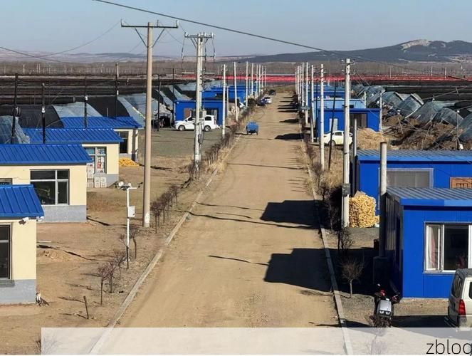 内黄县：豫北平原上的乡村防疫样本