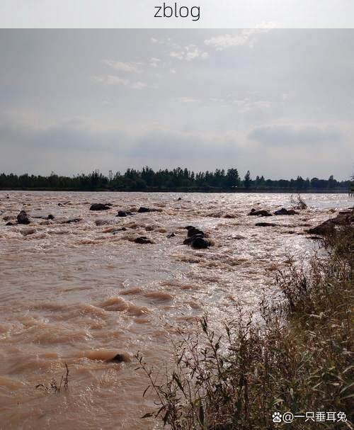 荣县：川南丘陵间的疫情防波堤_51835