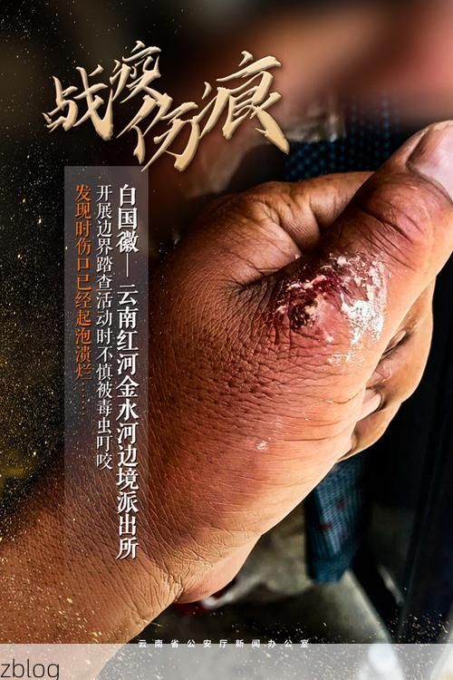 建邺区：滨江枢纽的疫情防线与破防时刻