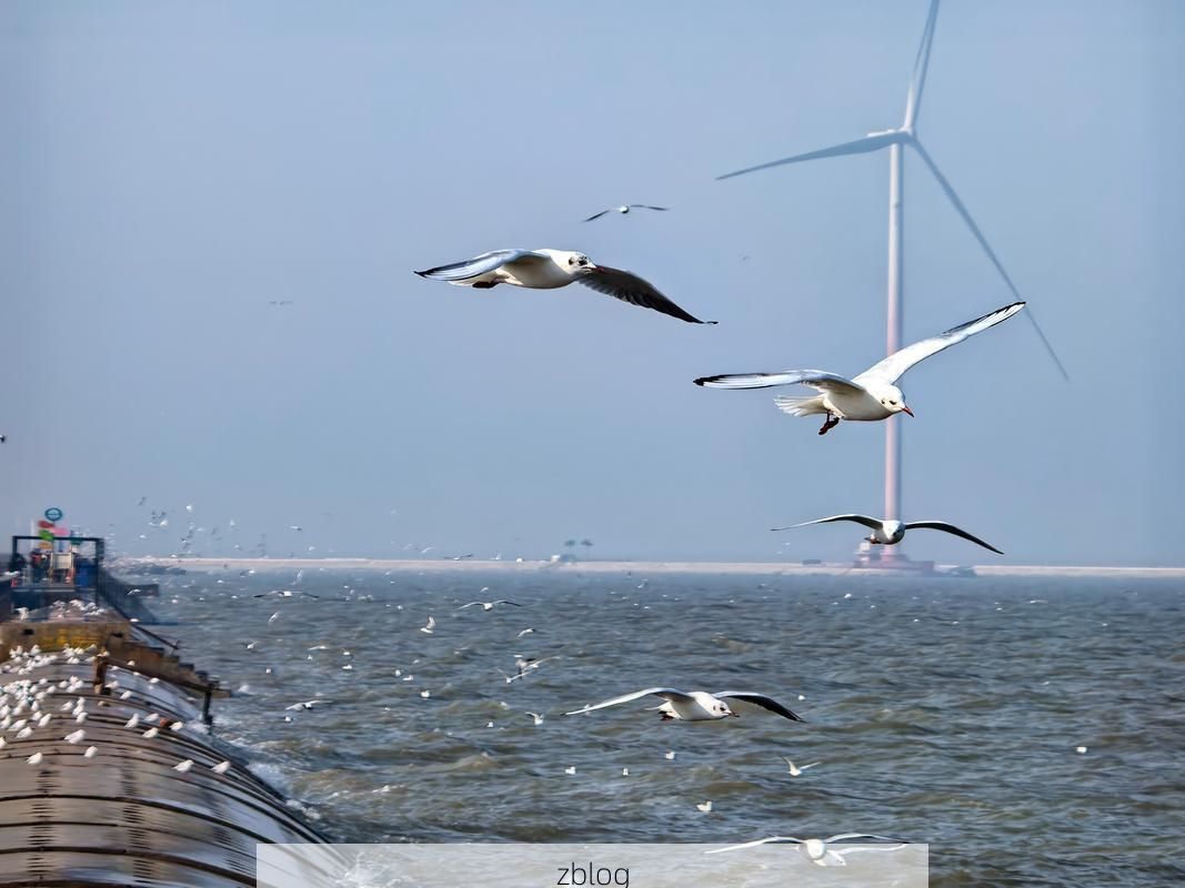 葫芦岛：渤海湾畔的港口城市如何构筑防疫屏障_50512