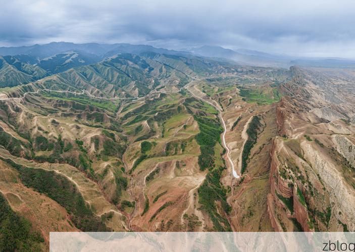 漳县：黄土高原沟壑间的防疫壁垒与破防时刻