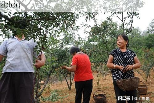 垣曲：晋南小城的疫情突围与地理屏障下的防控实践