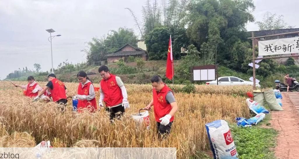 富顺：川南盐都的疫情防线与交通枢纽下的防控挑战