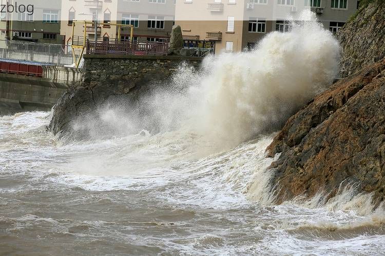 温岭：沿海工业重镇的疫情防线与破防时刻