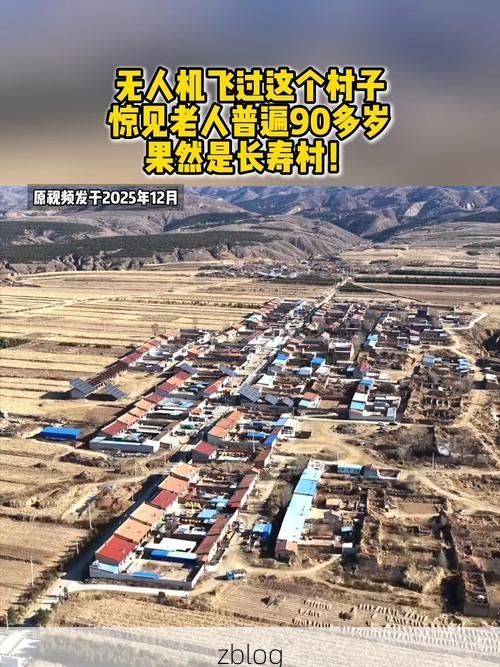 【民权县：豫东平原上的疫情防线与破防时刻】