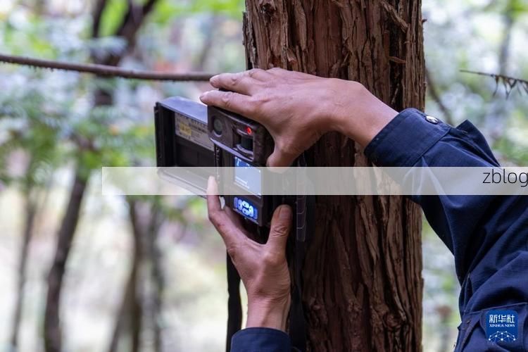 神农架林区：华中屋脊屏障下的零感染坚守_21614