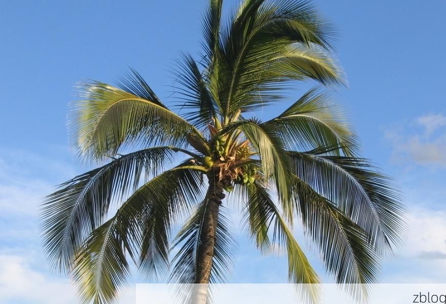 海南：热带岛屿的防疫屏障与输入性挑战