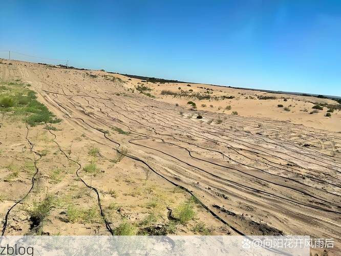 方山疫情：黄土高原沟壑区如何构筑防疫屏障？