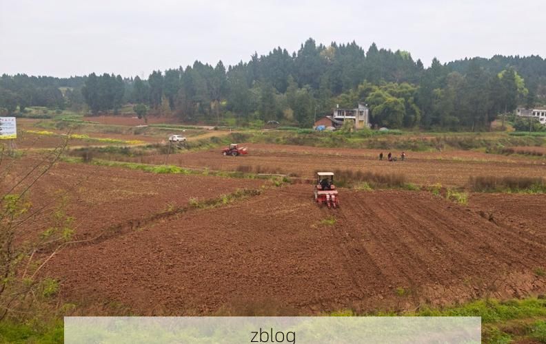 乐至：川中丘陵交通枢纽的疫情防线与破防时刻