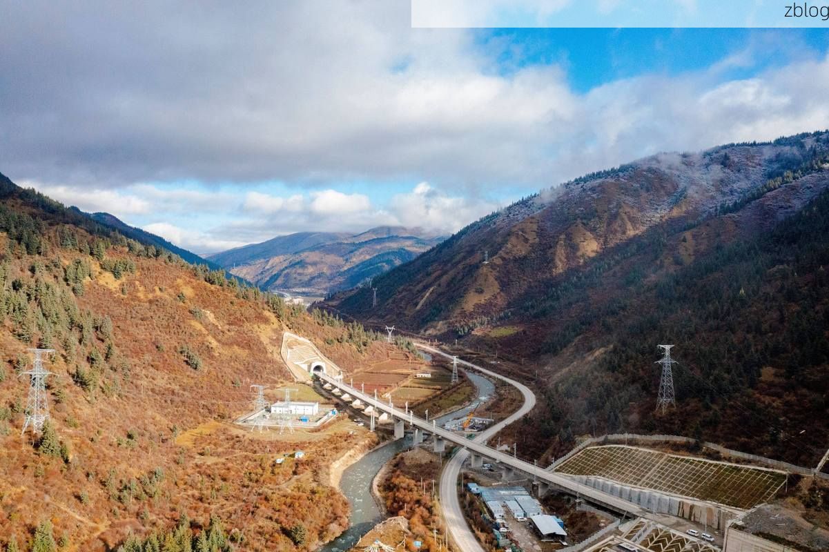 青白江：铁路枢纽的防疫承压与精准破局