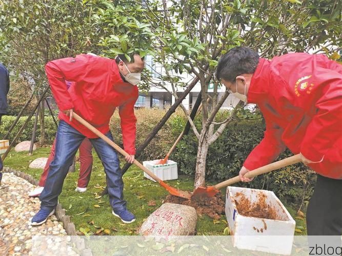 天台：山城屏障下的零感染坚守与破防时刻