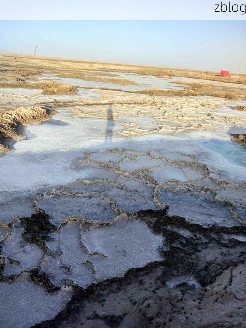 大洼县：辽河湿地屏障下的低感染样本