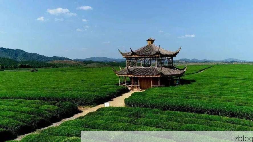 德兴铜都：工业重镇的疫情防线与地理屏障_47888