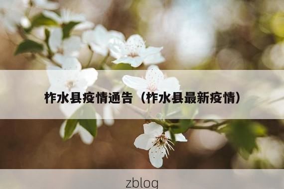 本地确诊+2，柞水县通报新增病例情况_66863