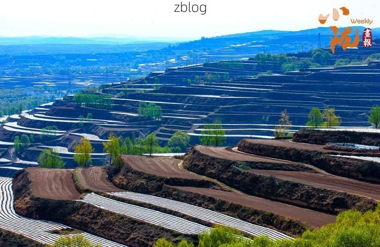 定西：陇中旱塬屏障下的低感染样本