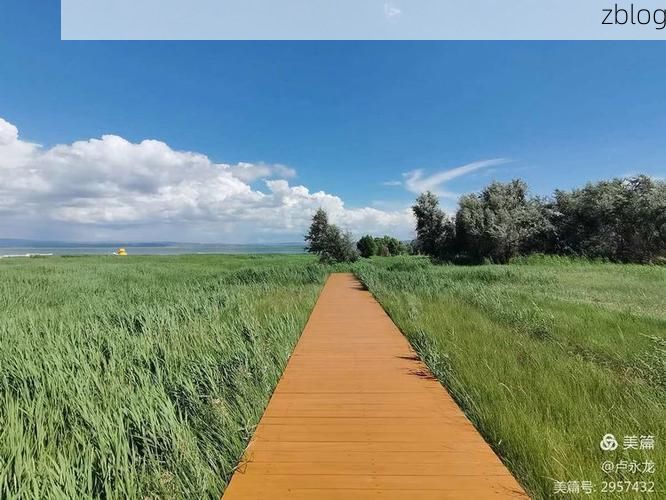 凉城之盾：岱海屏障下的零感染坚守