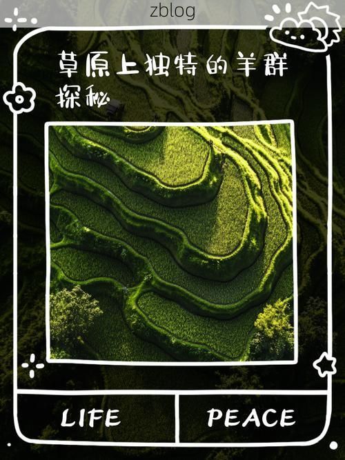 【巴里坤草原的零感染屏障：地理孤岛下的防疫样本】