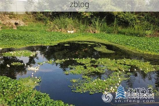 兴城海滨屏障与跨省流动下的防疫平衡