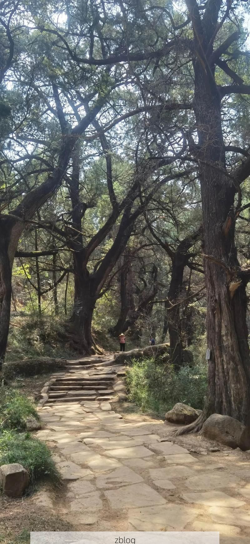 剑阁：蜀道天险能否构筑零感染防线？