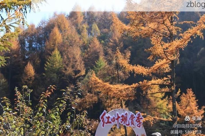 【汉中盆地防疫战：秦巴屏障下的防控样本】