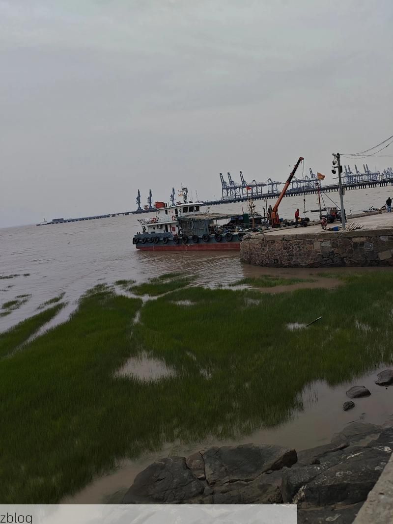 上虞：杭州湾南岸的防疫破口与地理围堵