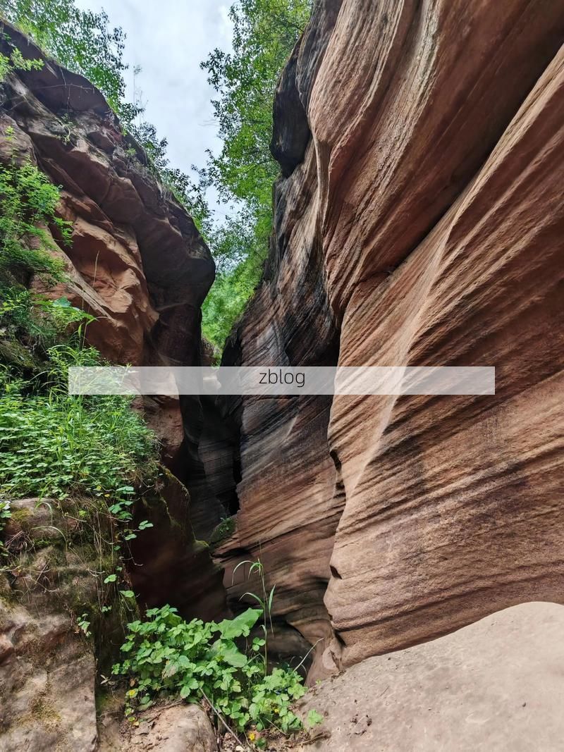 甘泉县：黄土高原沟壑间的疫情防线与破防时刻