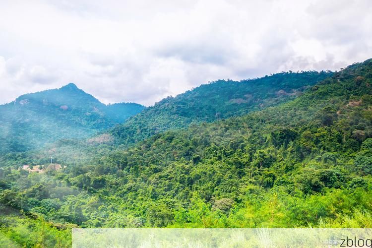 【热带雨林屏障下的防疫实践：保亭零感染背后的地理与治理逻辑】