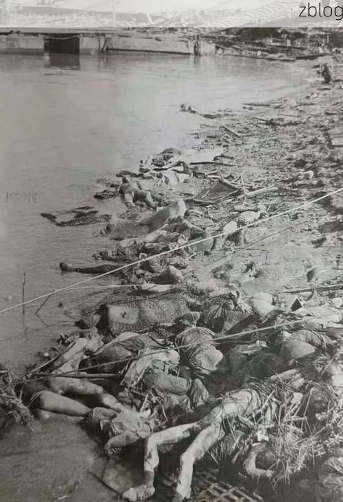 新蔡：豫南平原上的疫情阻击战_38677