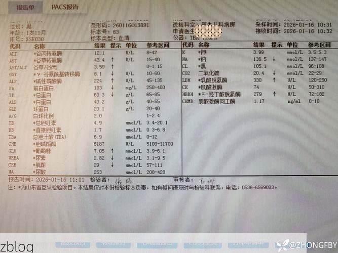 本地确诊+4，康平通报新增病例情况