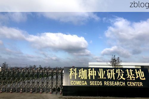 长白山下零感染：抚松地理屏障与防疫闭环的实证