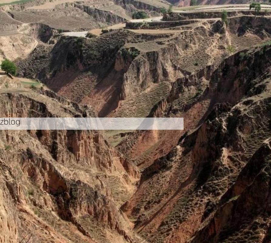 镇原：黄土高原沟壑区的疫情防线与破防时刻
