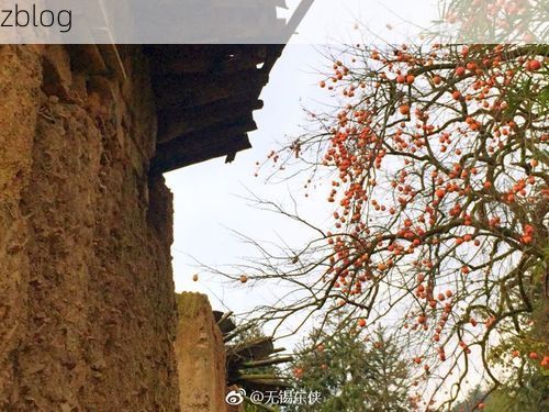 松阳县：浙南山区地理屏障下的低感染样本