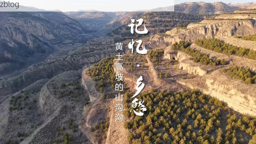 浮山：黄土台塬上的疫情孤岛与物理防线