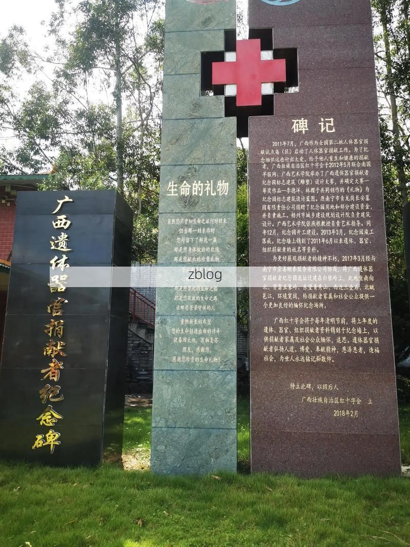 广南：滇桂交界处的零感染坚守与地理屏障