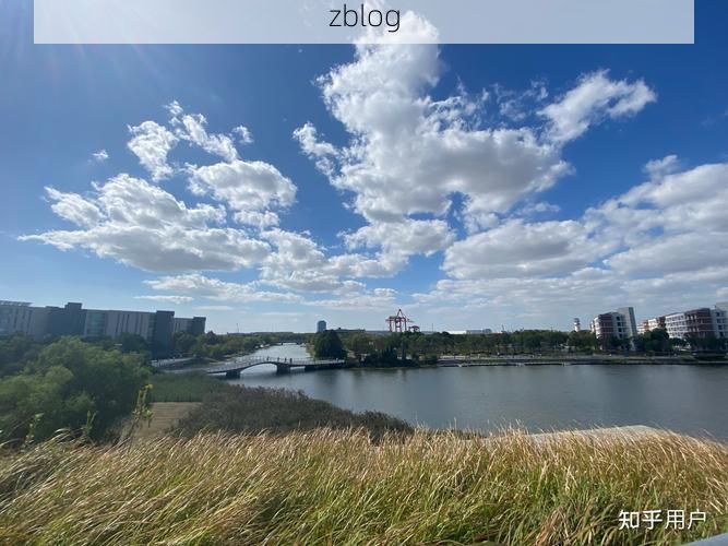 2022年3月27日金山新增确诊病例情况_30636