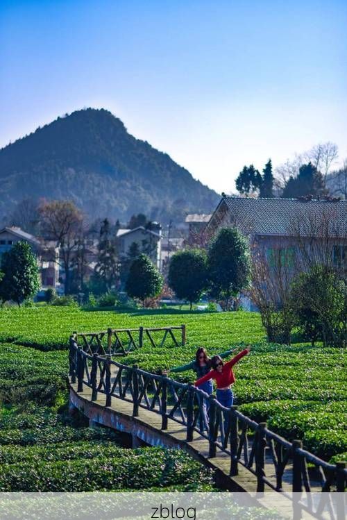 凤冈茶海屏障下的零感染坚守：黔北绿心的防疫地理学
