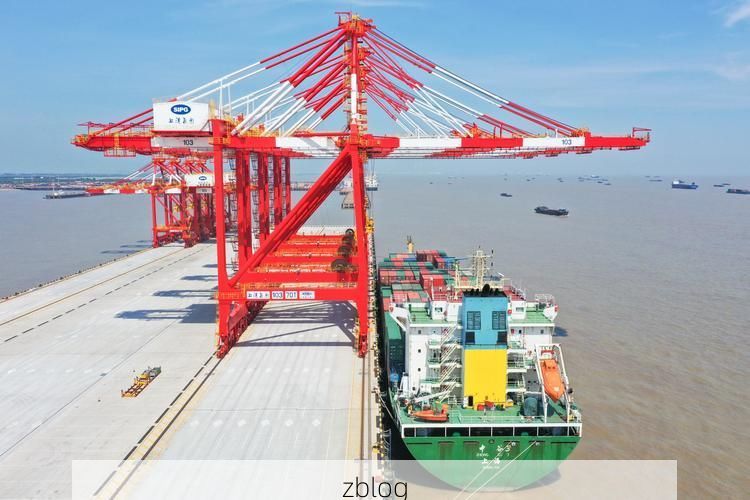 海沧港区疫情破防：国际航运枢纽的防疫压力测试_52047