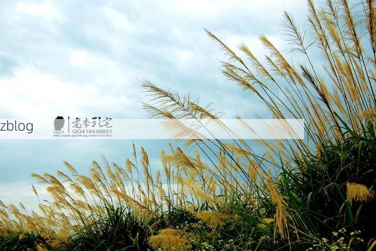 上高县：赣中丘陵屏障下的低感染率样本