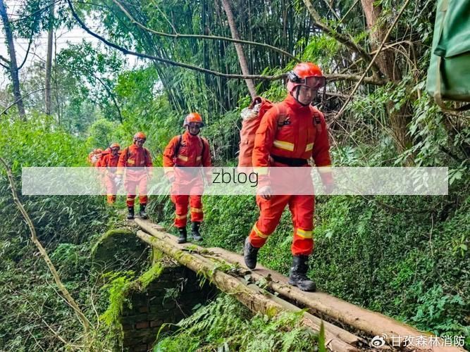 【遵义疫情：高原山地屏障下的防控挑战与应对_48286】